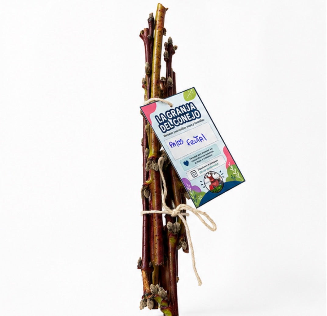 Ramitas del Huerto – Pack de 10 Palitos Frutales Naturales
