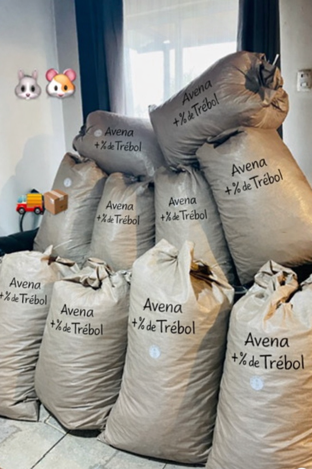 Avena+ % de trébol
