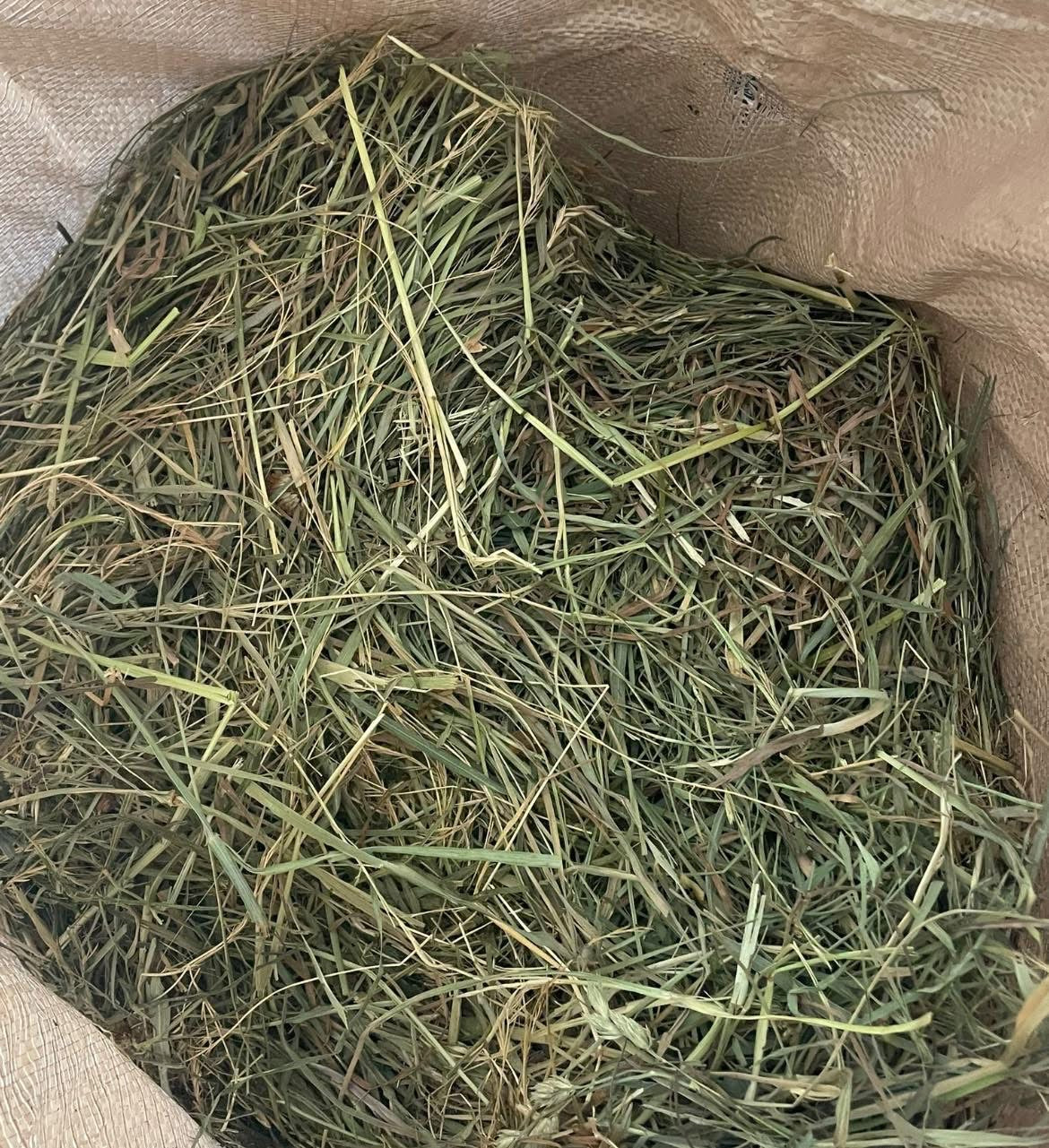 Heno Premium – Caja 6,2 kg 🐰✨