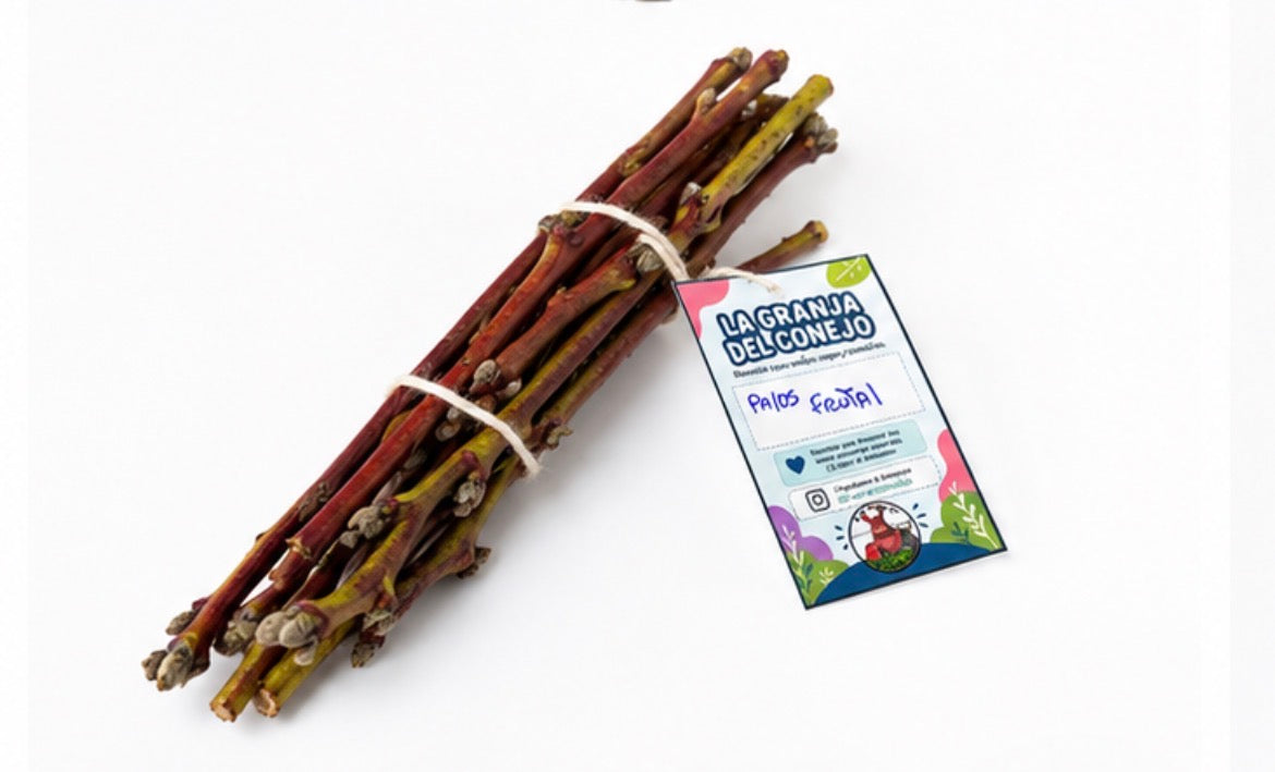Ramitas del Huerto – Pack de 10 Palitos Frutales Naturales