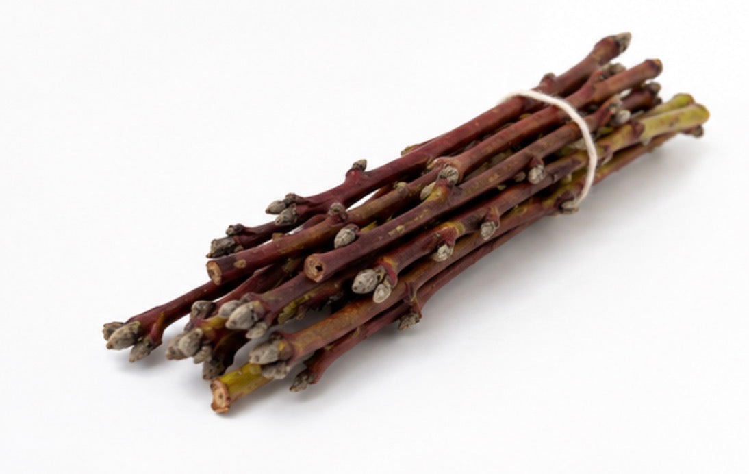 Ramitas del Huerto – Pack de 10 Palitos Frutales Naturales