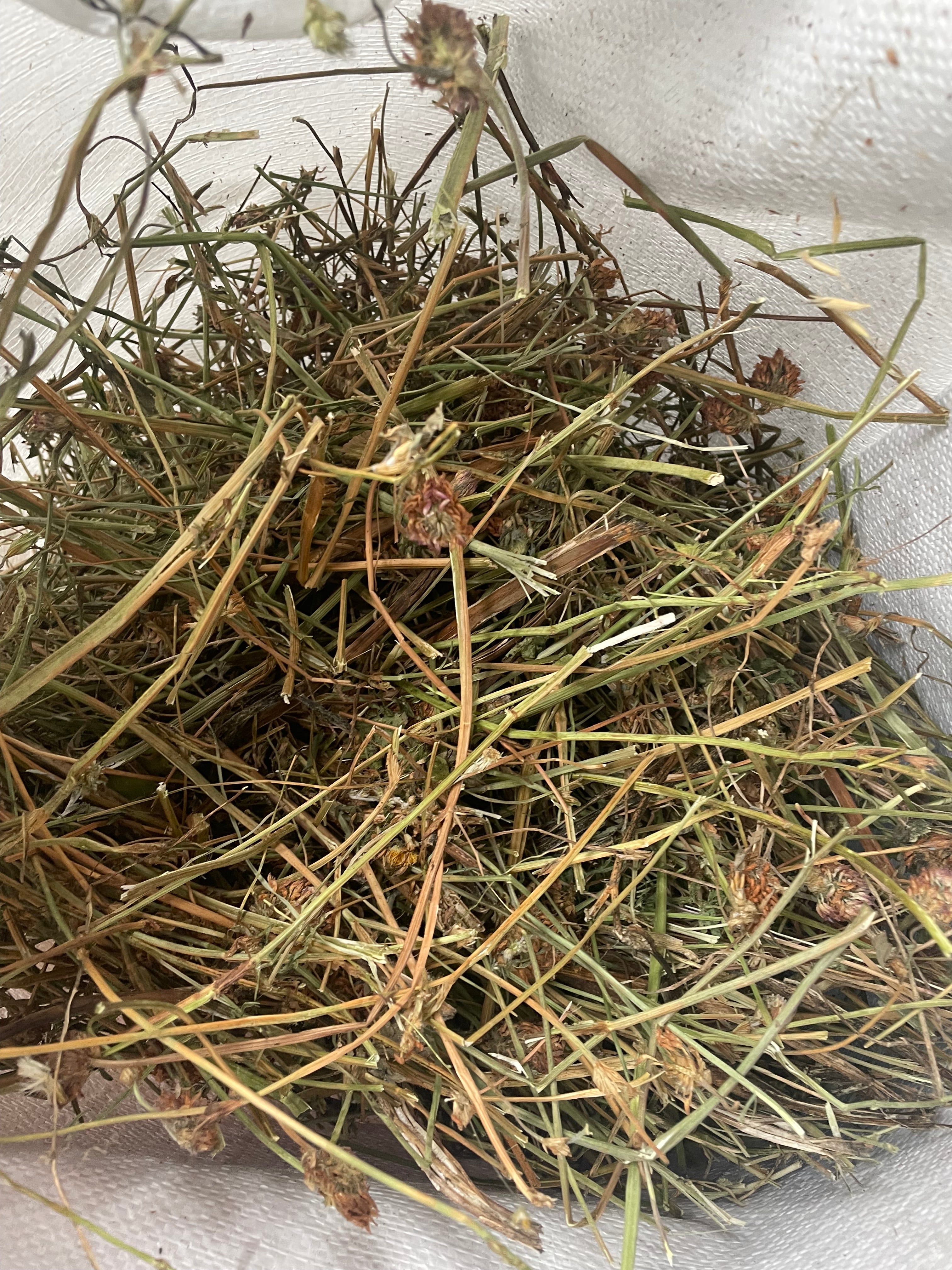 Heno – Saco 5 kg 🐰🌱