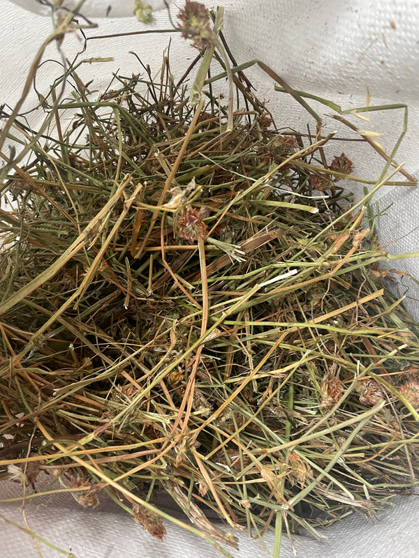 Heno – Saco 5 kg 🐰🌱