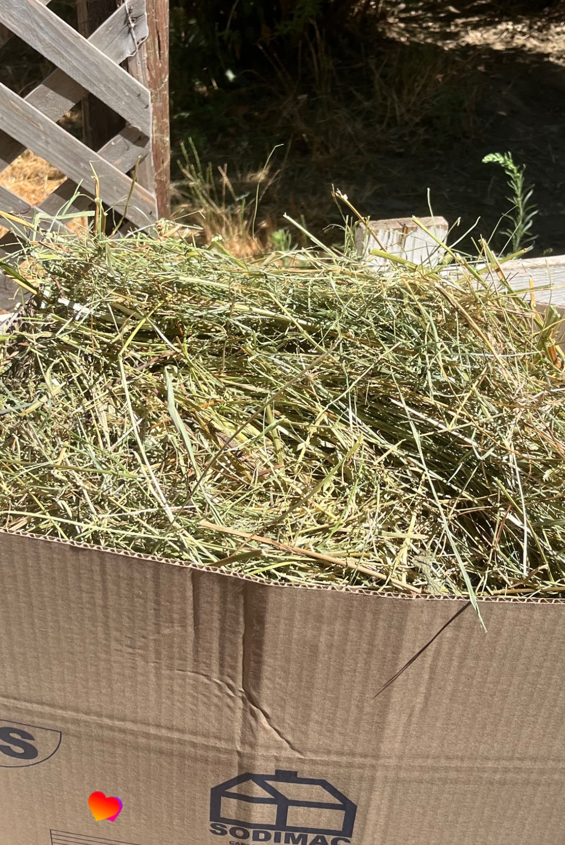Heno Premium – Caja 6,2 kg 🐰✨