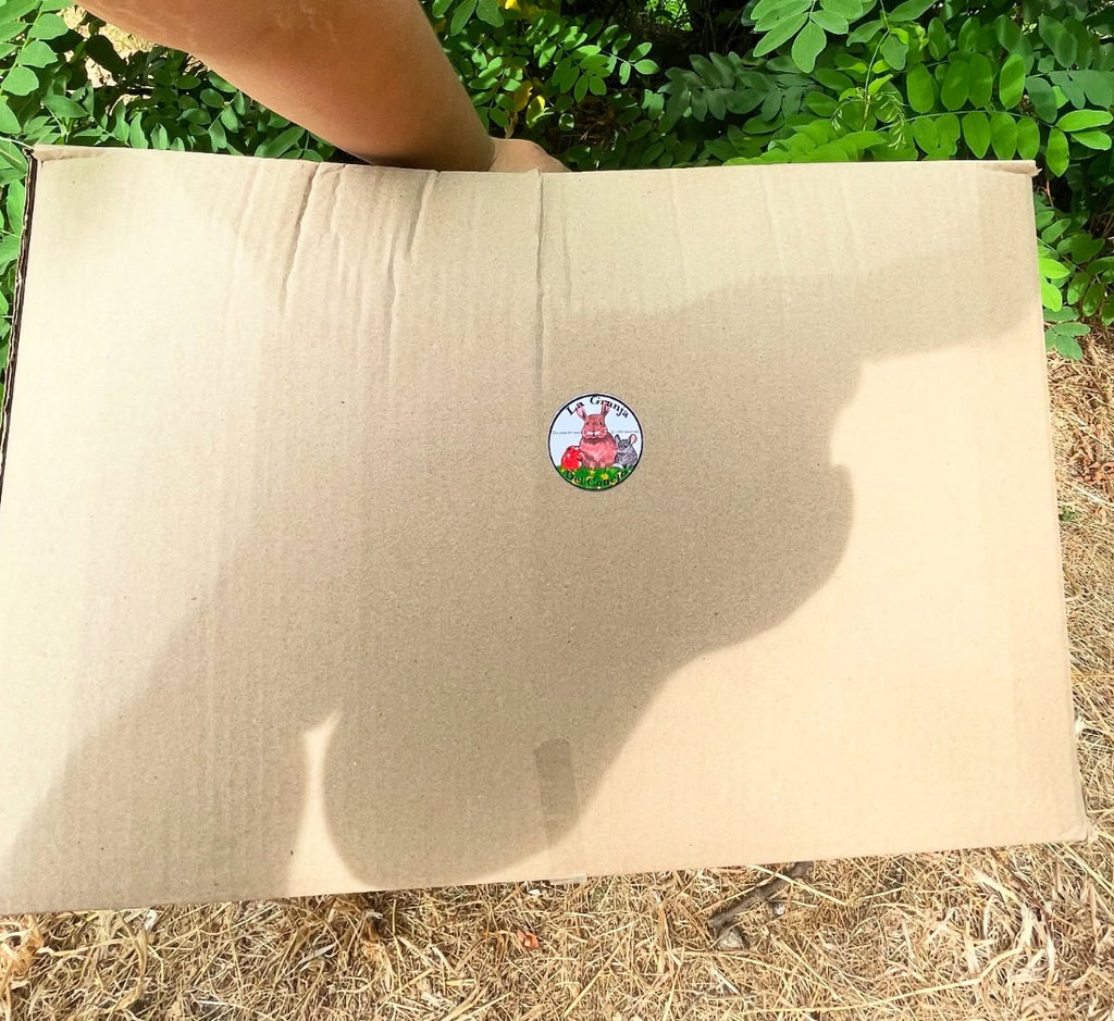 Heno Premium – Caja 6,2 kg 🐰✨