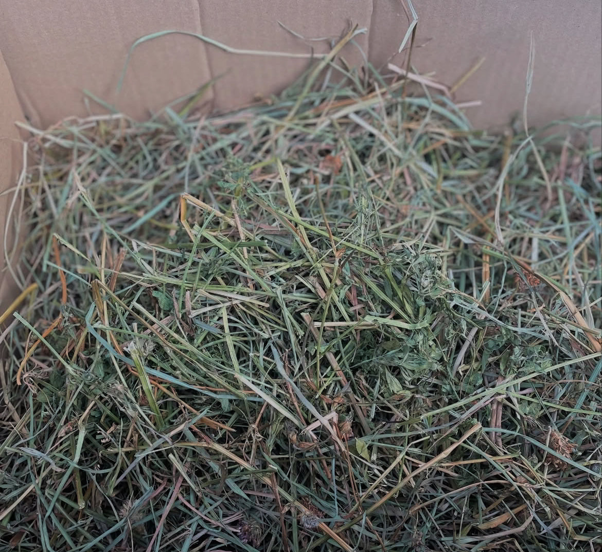 Heno – Saco 5 kg 🐰🌱